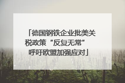 德国钢铁企业批美关税政策“反复无常” 呼吁欧盟加强应对