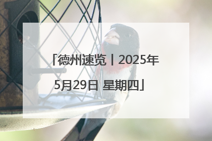 德州速览丨2025年5月29日 星期四