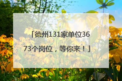 德州131家单位3673个岗位，等你来！