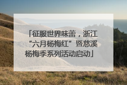 征服世界味蕾，浙江“六月杨梅红”暨慈溪杨梅季系列活动启动