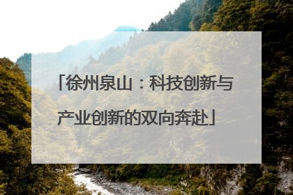 徐州泉山：科技创新与产业创新的双向奔赴
