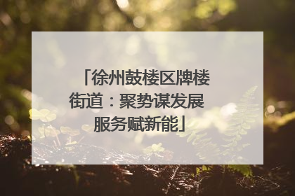 徐州鼓楼区牌楼街道：聚势谋发展 服务赋新能