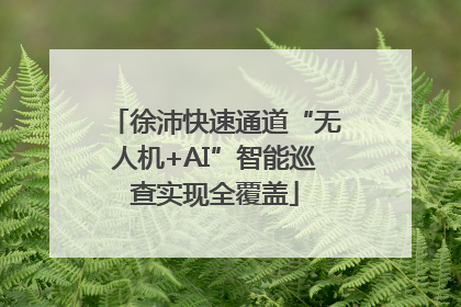 徐沛快速通道“无人机+AI”智能巡查实现全覆盖