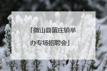 微山县留庄镇举办专场招聘会