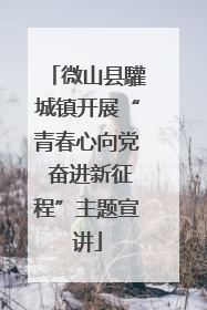 微山县驩城镇开展“青春心向党 奋进新征程”主题宣讲