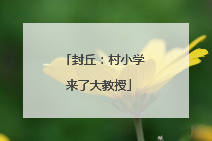 封丘：村小学来了大教授