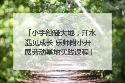 小手触碰大地，汗水遇见成长 乐师附小开展劳动基地实践课程