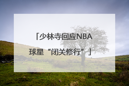 少林寺回应NBA球星“闭关修行”