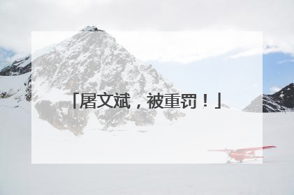 屠文斌，被重罚！
