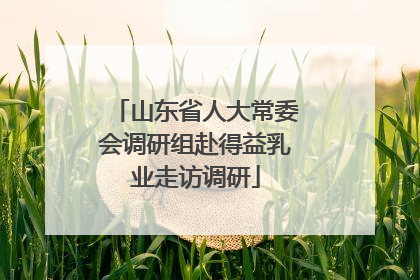 山东省人大常委会调研组赴得益乳业走访调研