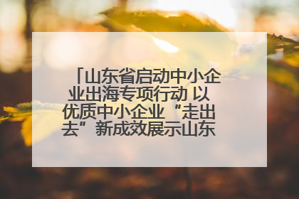 山东省启动中小企业出海专项行动 以优质中小企业“走出去”新成效展示山东产业发展新形象
