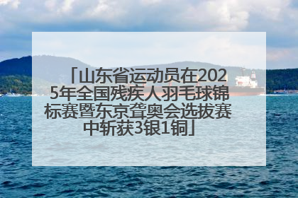 山东省运动员在2025年全国残疾人羽毛球锦标赛暨东京聋奥会选拔赛中斩获3银1铜