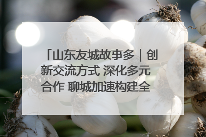 山东友城故事多｜创新交流方式 深化多元合作 聊城加速构建全球友城新格局