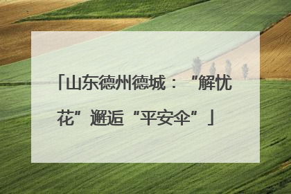 山东德州德城：“解忧花”邂逅“平安伞”