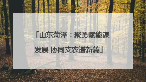 山东菏泽：聚势赋能谋发展 协同支农谱新篇