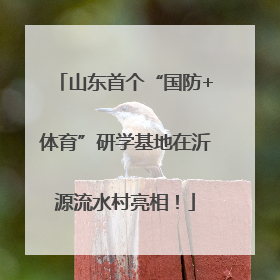 山东首个“国防+体育”研学基地在沂源流水村亮相！