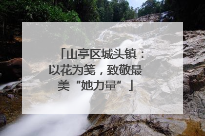 山亭区城头镇：以花为笺，致敬最美“她力量”