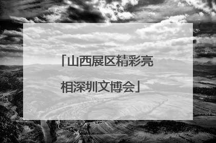 山西展区精彩亮相深圳文博会