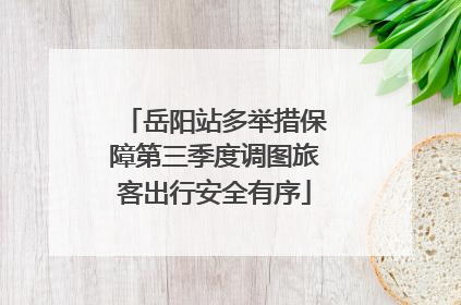 岳阳站多举措保障第三季度调图旅客出行安全有序