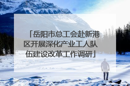 岳阳市总工会赴新港区开展深化产业工人队伍建设改革工作调研
