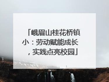 峨眉山桂花桥镇小：劳动赋能成长，实践点亮校园