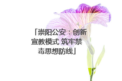 崇阳公安：创新宣教模式 筑牢禁毒思想防线