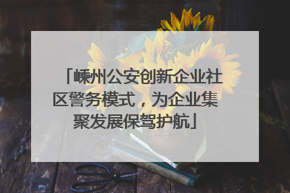 嵊州公安创新企业社区警务模式，为企业集聚发展保驾护航