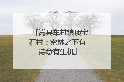 嵩县车村镇顶宝石村：密林之下有诗意有生机