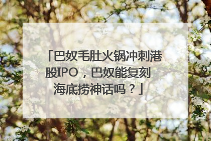 巴奴毛肚火锅冲刺港股IPO，巴奴能复刻海底捞神话吗？