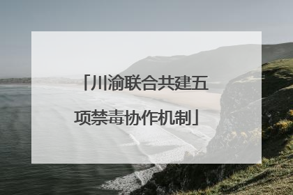 川渝联合共建五项禁毒协作机制
