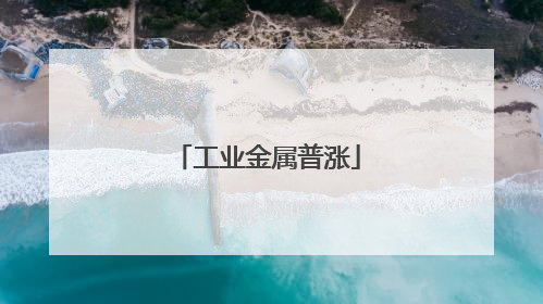 工业金属普涨
