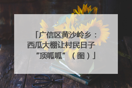 广信区黄沙岭乡：西瓜大棚让村民日子“顶呱呱”（图）