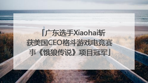 广东选手Xiaohai斩获美国CEO格斗游戏电竞赛事《饿狼传说》项目冠军