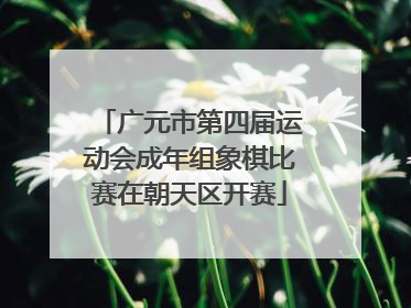 广元市第四届运动会成年组象棋比赛在朝天区开赛
