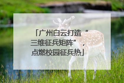 广州白云打造“三维征兵矩阵”，点燃校园征兵热