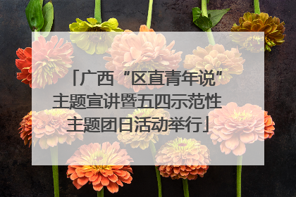 广西“区直青年说”主题宣讲暨五四示范性主题团日活动举行