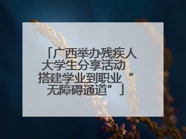 广西举办残疾人大学生分享活动 搭建学业到职业“无障碍通道”