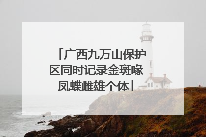 广西九万山保护区同时记录金斑喙凤蝶雌雄个体