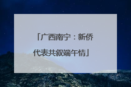 广西南宁：新侨代表共叙端午情