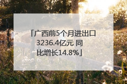 广西前5个月进出口3236.4亿元 同比增长14.8%