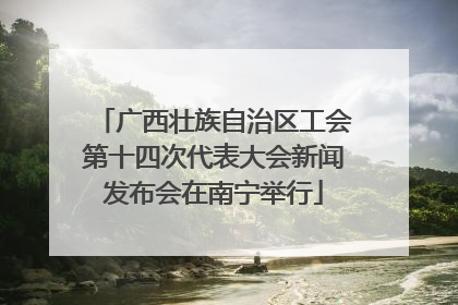 广西壮族自治区工会第十四次代表大会新闻发布会在南宁举行