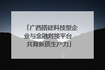 广西搭建科技型企业与金融对接平台 共育新质生产力