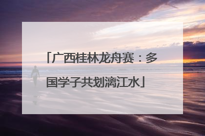 广西桂林龙舟赛：多国学子共划漓江水
