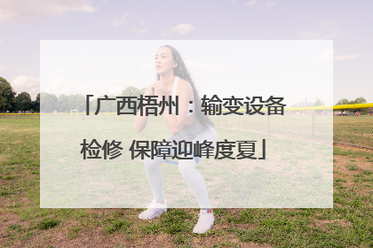 广西梧州：输变设备检修 保障迎峰度夏