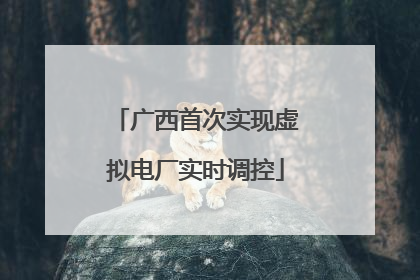 广西首次实现虚拟电厂实时调控