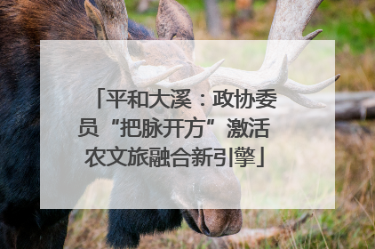 平和大溪：政协委员“把脉开方”激活农文旅融合新引擎