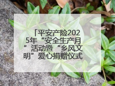 平安产险2025年“安全生产月”活动暨“乡风文明”爱心捐赠仪式在菏泽单县举行