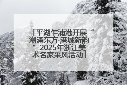 平湖乍浦港开展“潮涌东方·港城新韵”2025年浙江美术名家采风活动