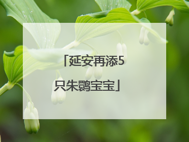 延安再添5只朱鹮宝宝