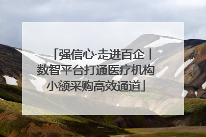 强信心·走进百企丨数智平台打通医疗机构小额采购高效通道